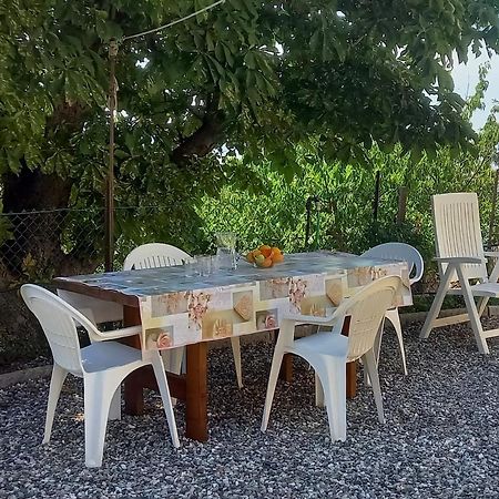 Appartamento Bellavista Castellina Marittima Bagian luar foto