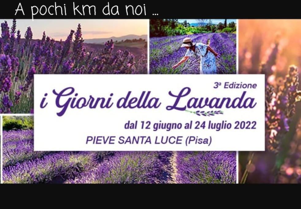 Appartamento Bellavista Castellina Marittima Bagian luar foto