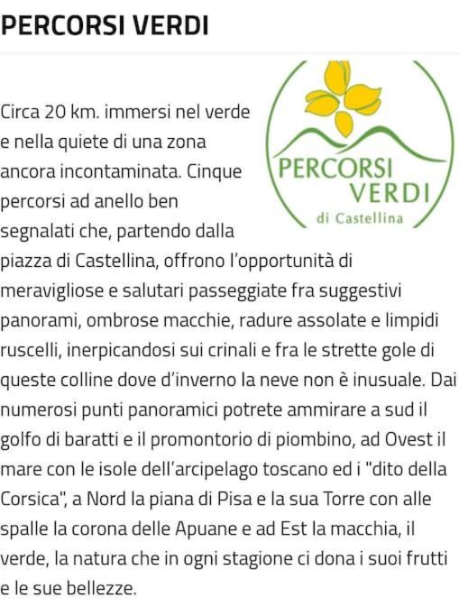 Appartamento Bellavista Castellina Marittima Bagian luar foto