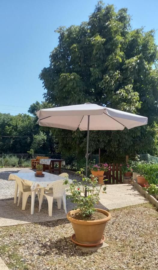 Appartamento Bellavista Castellina Marittima Bagian luar foto